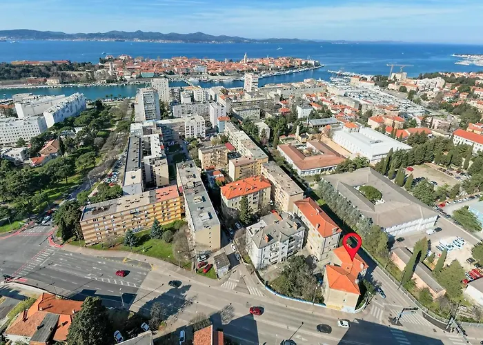 'olivia' Zadar